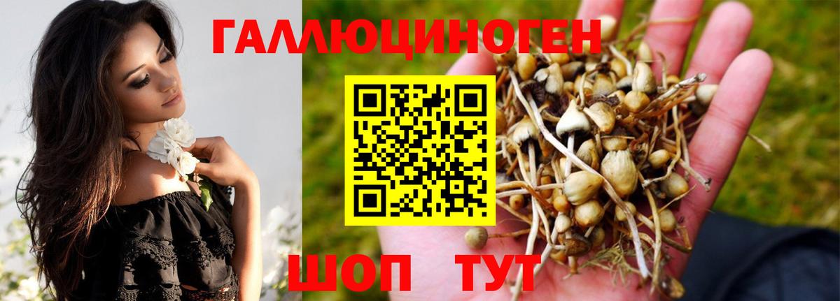Псилоцибиновые грибы мухоморы Тавда